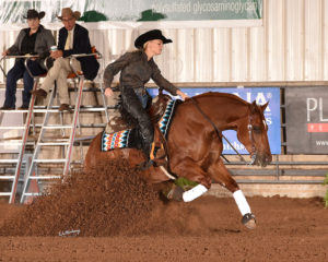 The Judges Evaluation and Education Program is in place to help further educate NRHA judges beyond the annual schools.